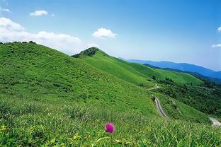 雷竞技苹果手机安装